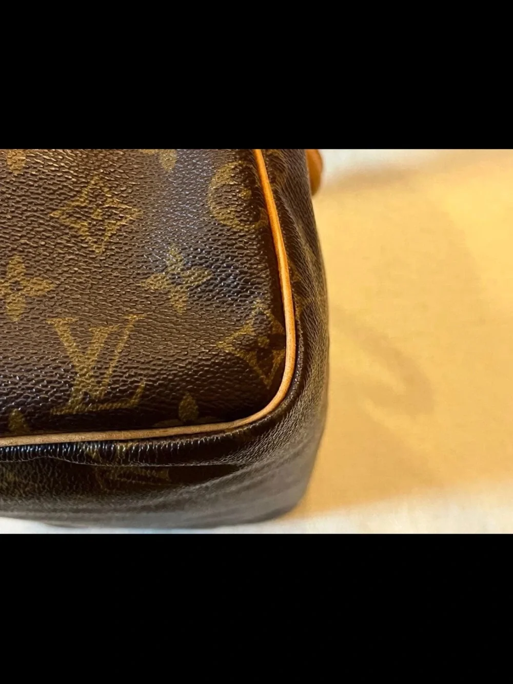 Louis Vuitton Brown Monogram Canvas Speedy Satchel
